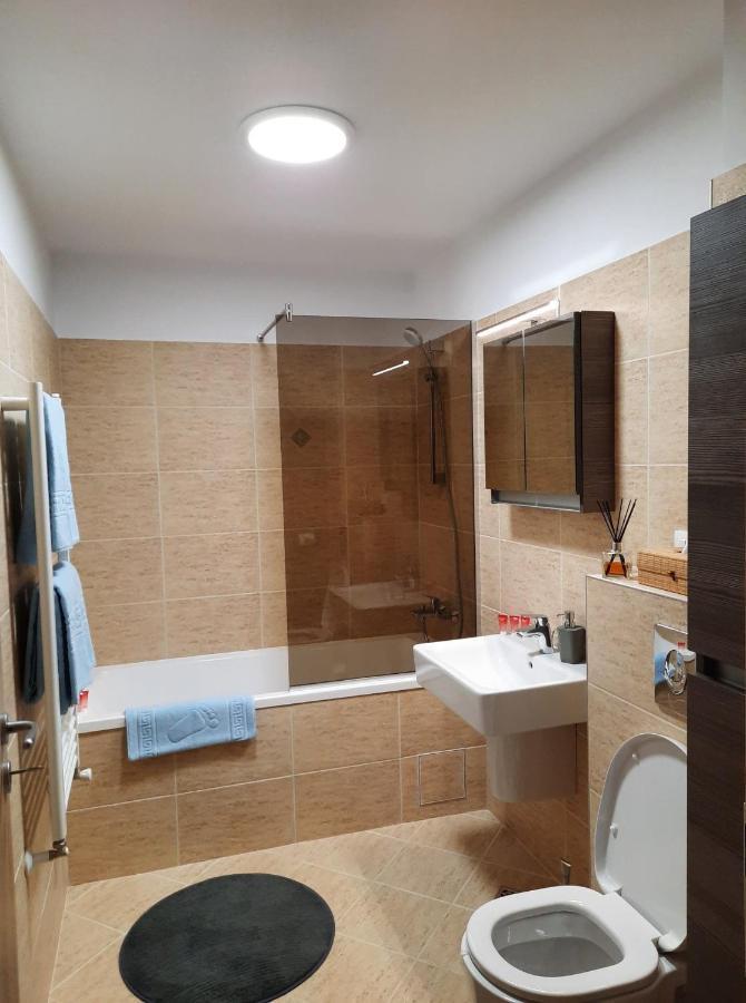 Sorin'S Comfortable Apartment Брашов Екстериор снимка