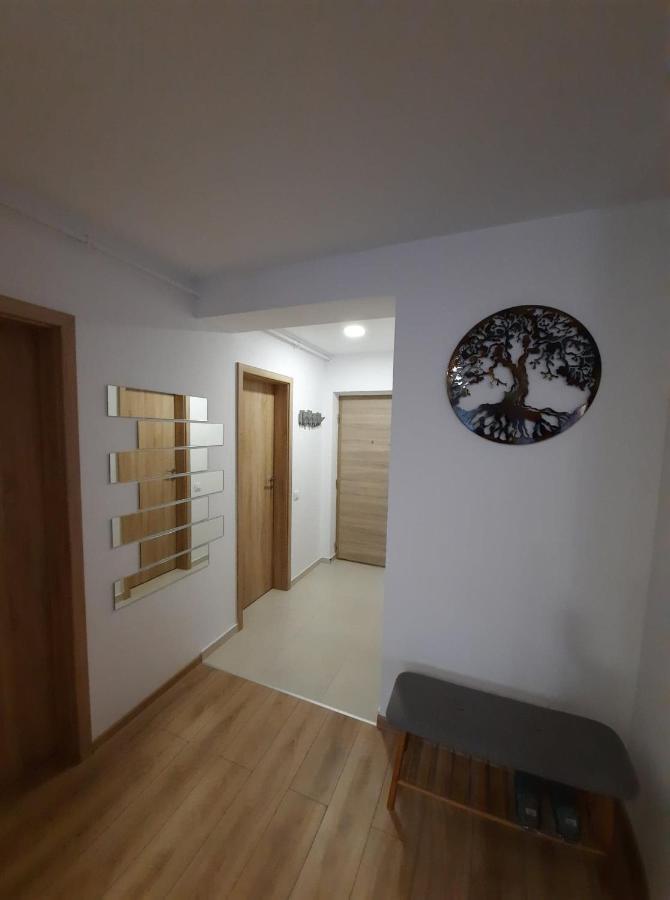 Sorin'S Comfortable Apartment Брашов Екстериор снимка